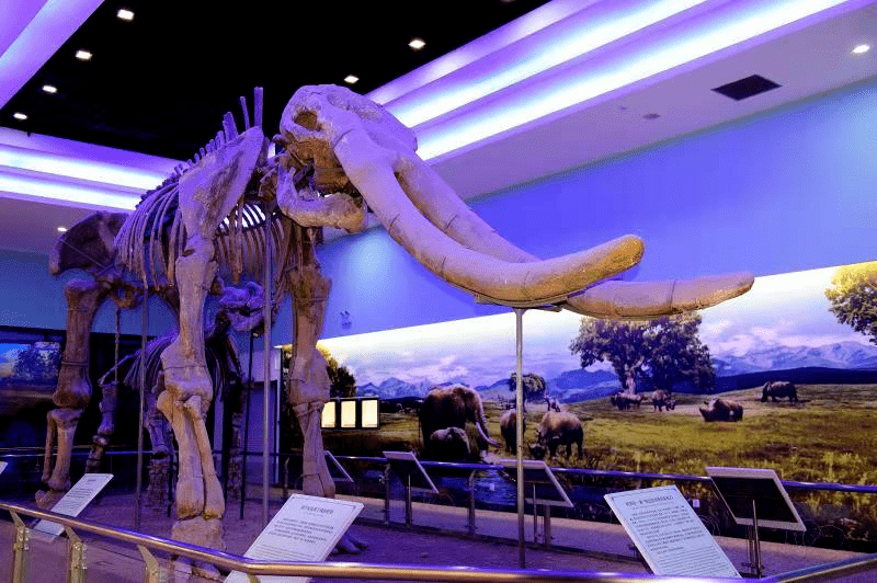 旬邑县博物馆青少年ar研学手册上线啦!_文庙_故事_文化