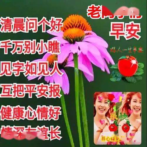 早上好最新版,早上好短句,最新吉祥如意早上好_祝福_問候_陽光