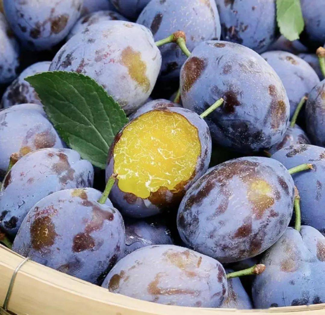 现摘现发【山西·女神西梅】3斤29.9元!甜过车厘子,被称为肠道清道夫!