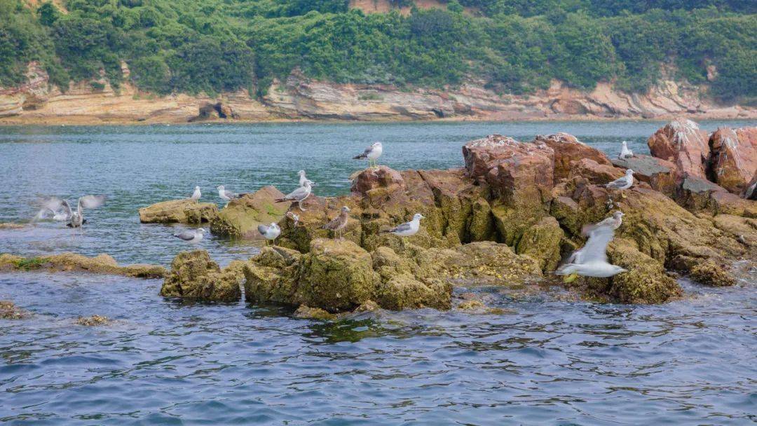 "e路有我爱大连" 走进长兴岛_沙滩_辽宁省_高尔夫