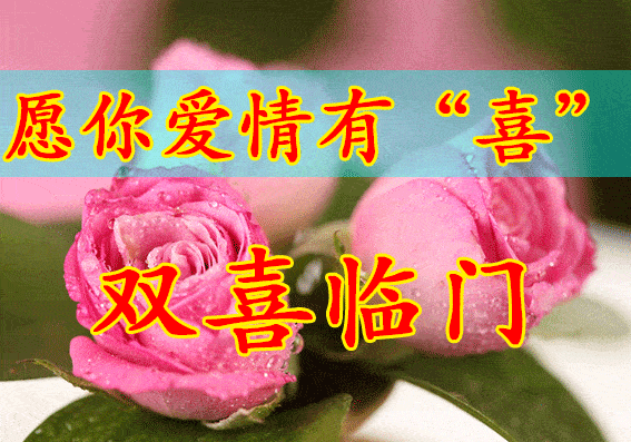 情人节快乐 情人节快乐表情包 情人节快乐图片