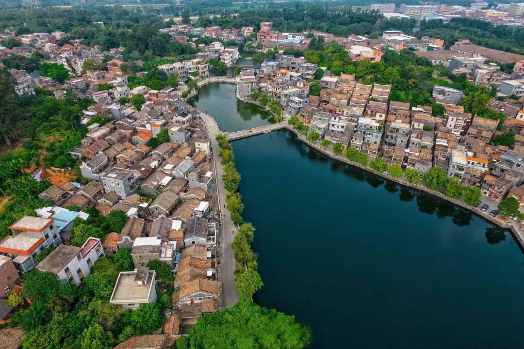 珠三角腹地的佛山小镇,藏着许多浓浓古韵的岭南乡村_古村_塘村_文化