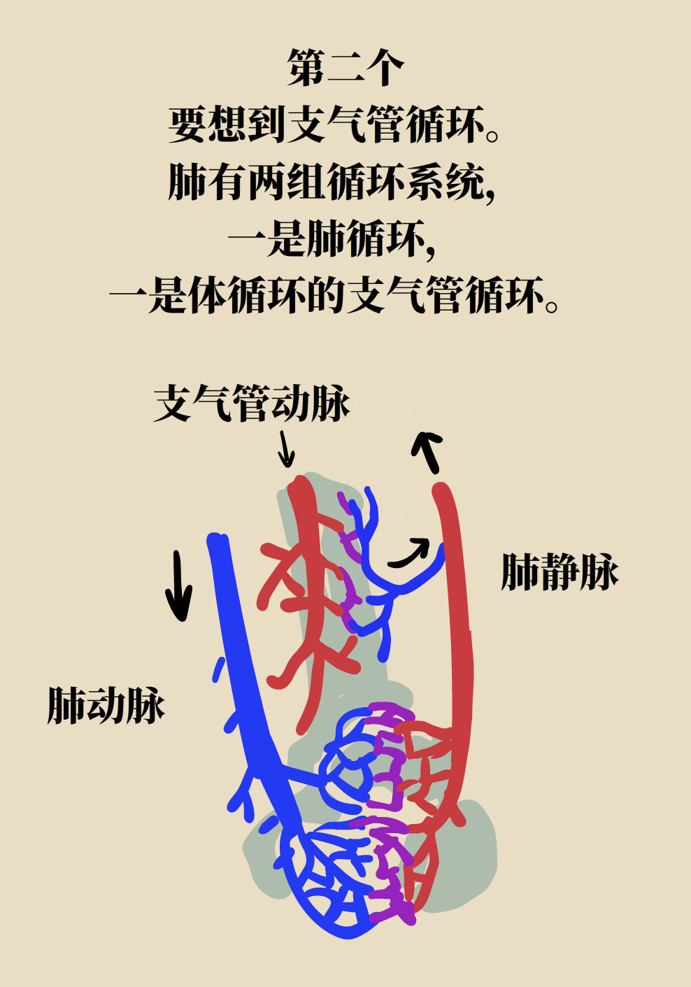 天然气管道走向示意图图片