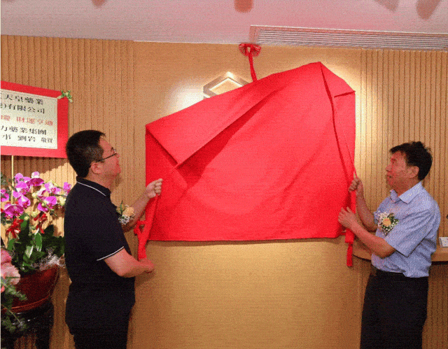 天台人陈立钻在香港成立公司, 一心想让铁皮枫斗"走"出去!