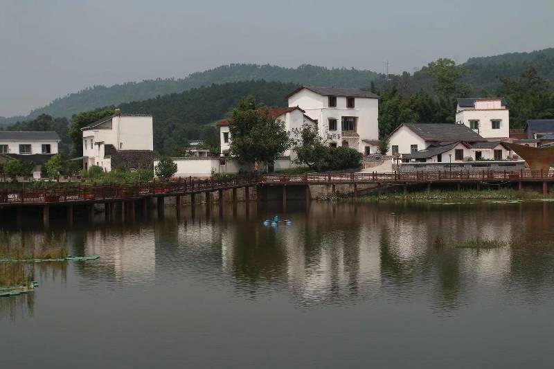 隆昌石燕茶乡不只"茶香"丨2023天府旅游名县巡礼_石燕桥镇_油茶_茶花