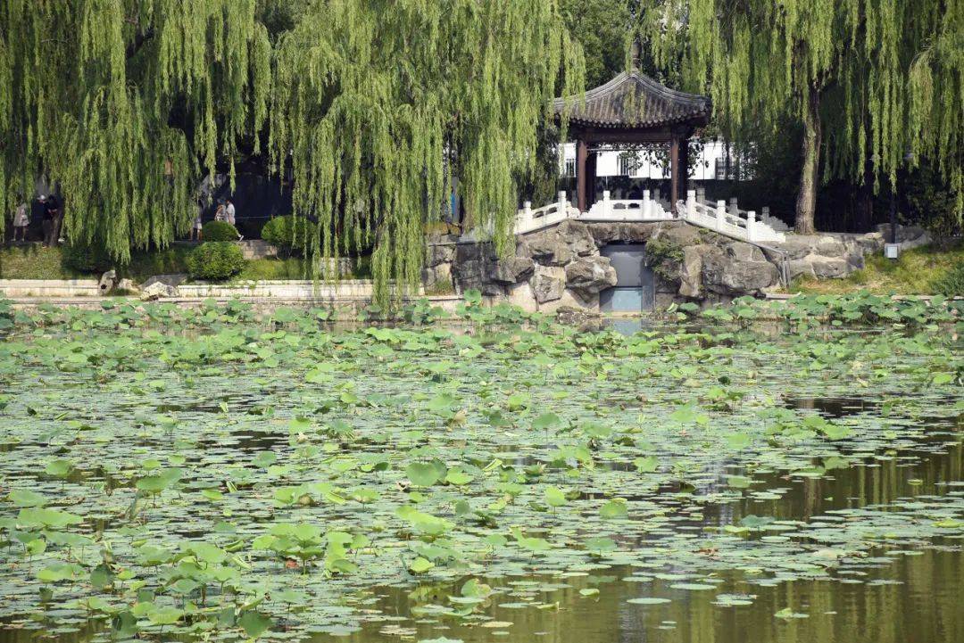 全国分手胜地,建议不信邪的情侣都去_泰山_鼓浪屿_紫竹院