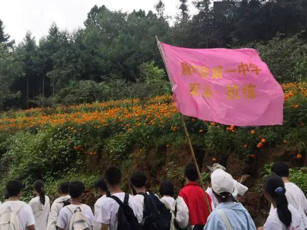 腾冲市第一中学校花图片