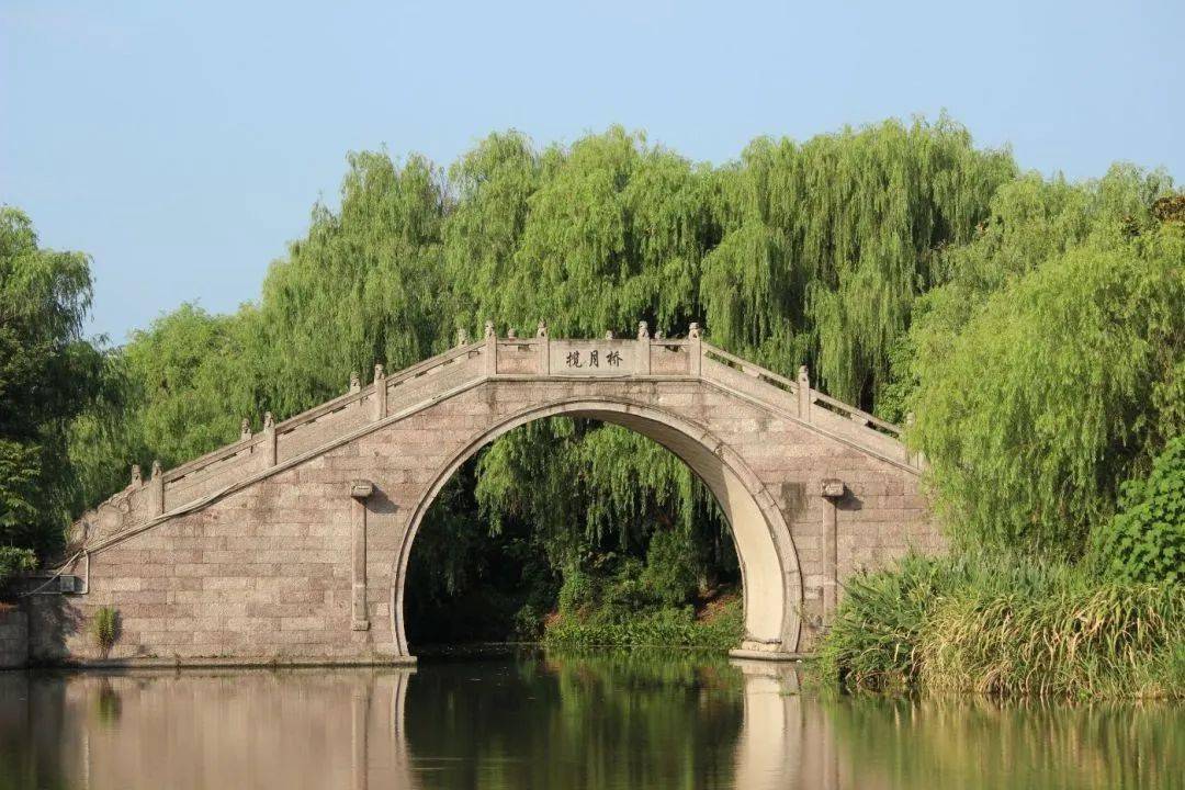 【图说·绍兴】夏日的梅山公园_摄影_古越_夏色