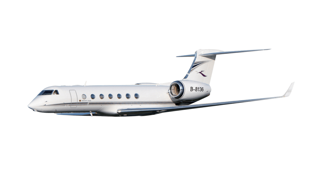 "暑"你最美丨金鹿公务圆满保障加急航班任务获客户好评_服务_飞行