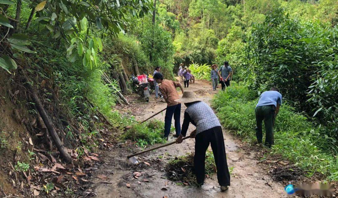 乡风文明|容县浪水镇:人居环境整治提升宜居乡村颜值_工作_领导_进度