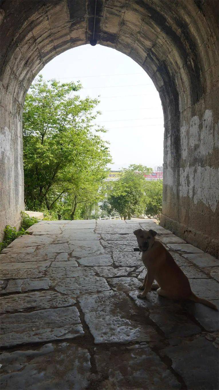 你知道赤壁一共有几个古城墙门吗?