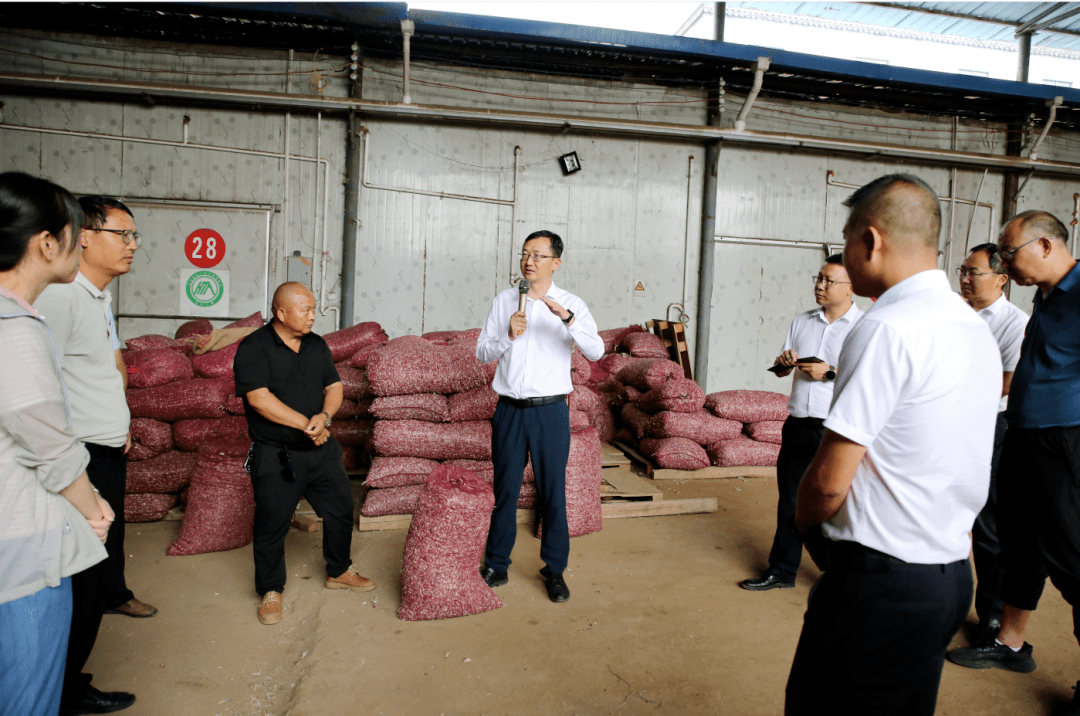 马志翔率队专题调研大蒜产业发展