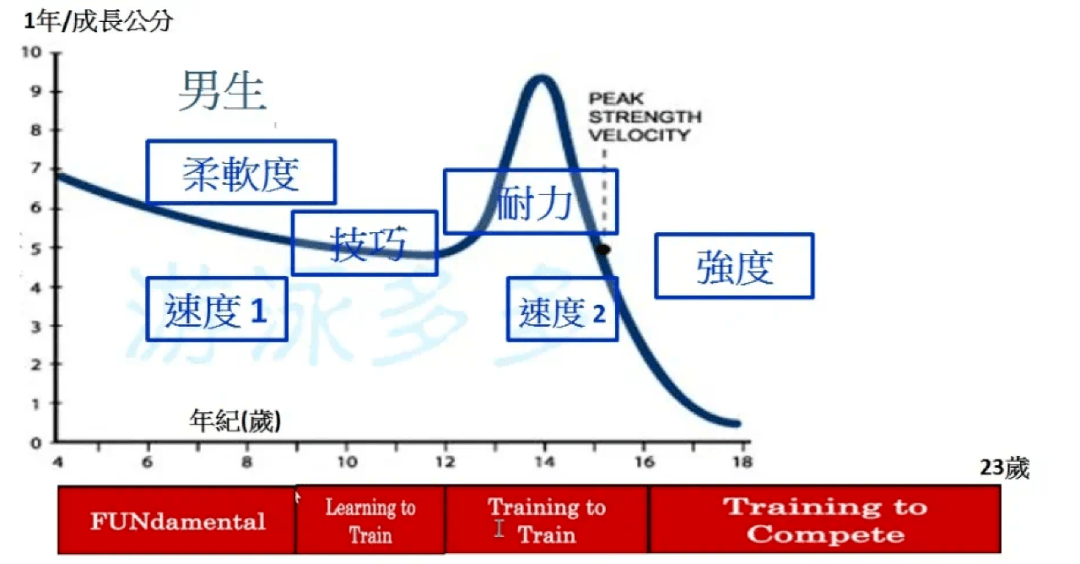 诺兰模型图图片