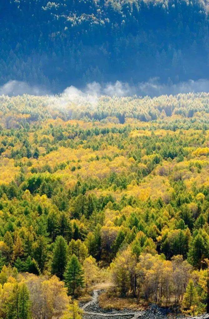 【中国(阿尔山)旅游大会】来阿尔山 遇见童话里的秋_风景_梦境_微信