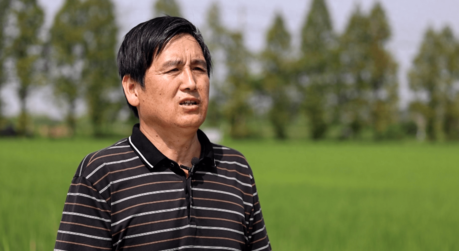 马鞍山市当涂县石桥镇石桥镇农业服务中心中级农艺师 俞庆武:持续推进