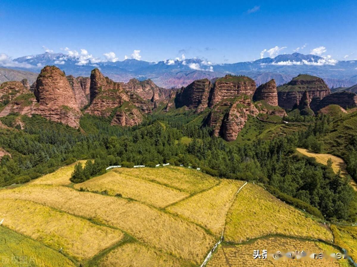青海黄南州坎布拉国家森林公园风景如画