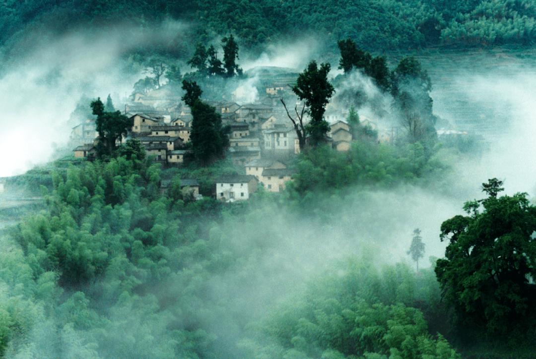 长寿之乡浙江丽水:国家推介——丽水诗画生活_村落_乡村_景区