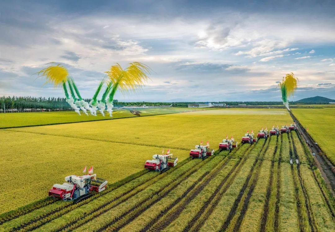 江川农场 来自搜狐网