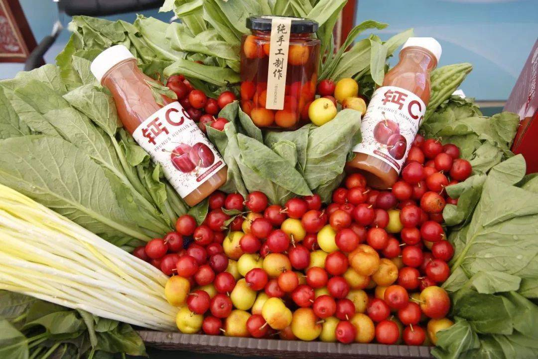 第十一届欧李采摘节开幕啦,高钙欧李等你来品尝→_平谷区_产业园区_东