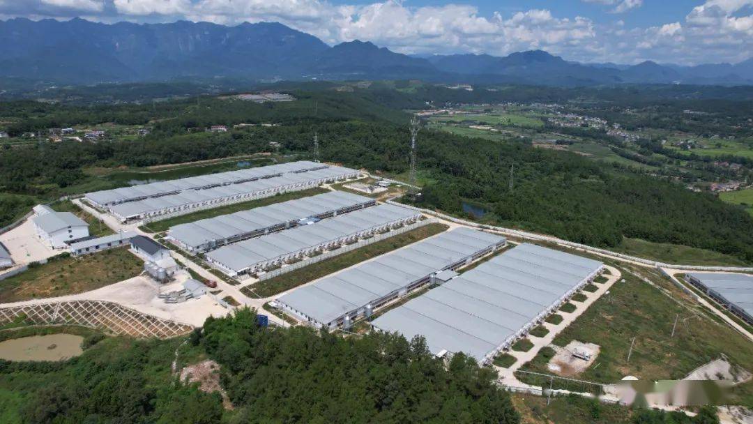 四川5地 绵阳江油入选_农业_现代化_全国