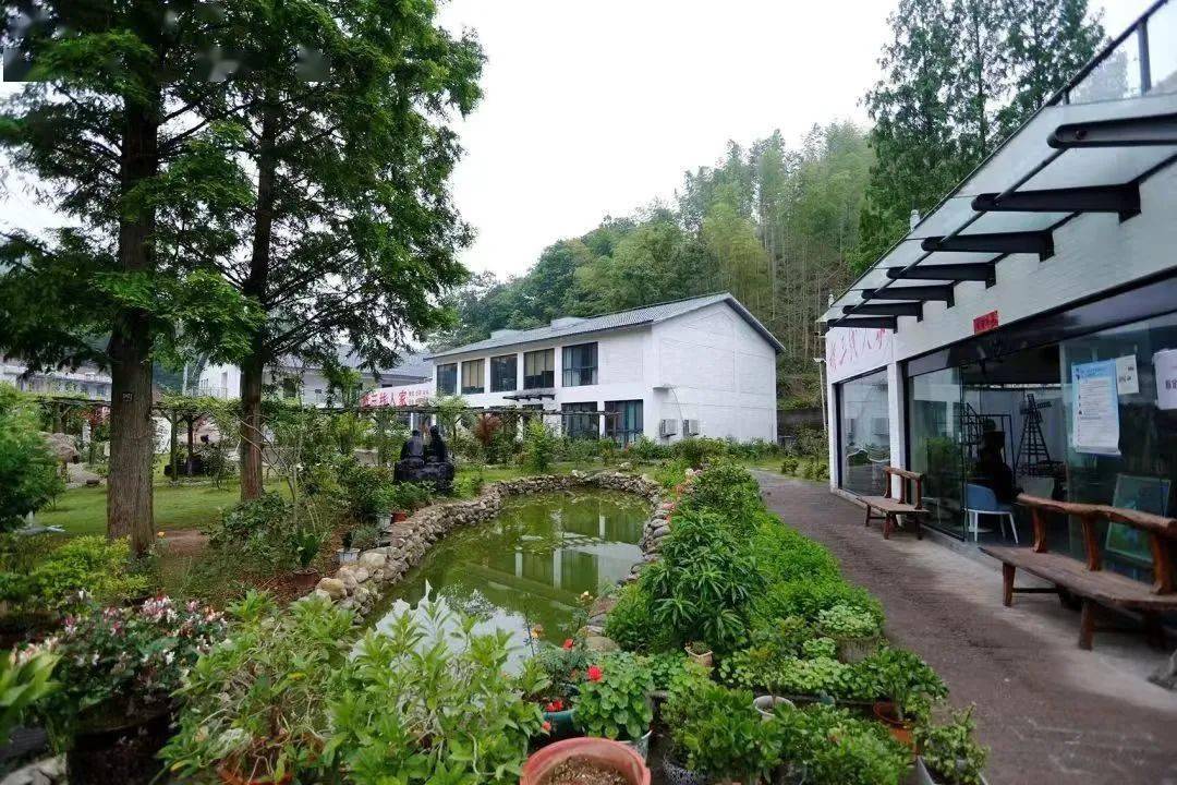 六安这个村入选_乡村_画家村_安徽