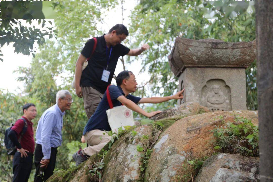 历史文书工作厦门大学教授郑振满等40名专家学者哈佛大学教授宋怡明