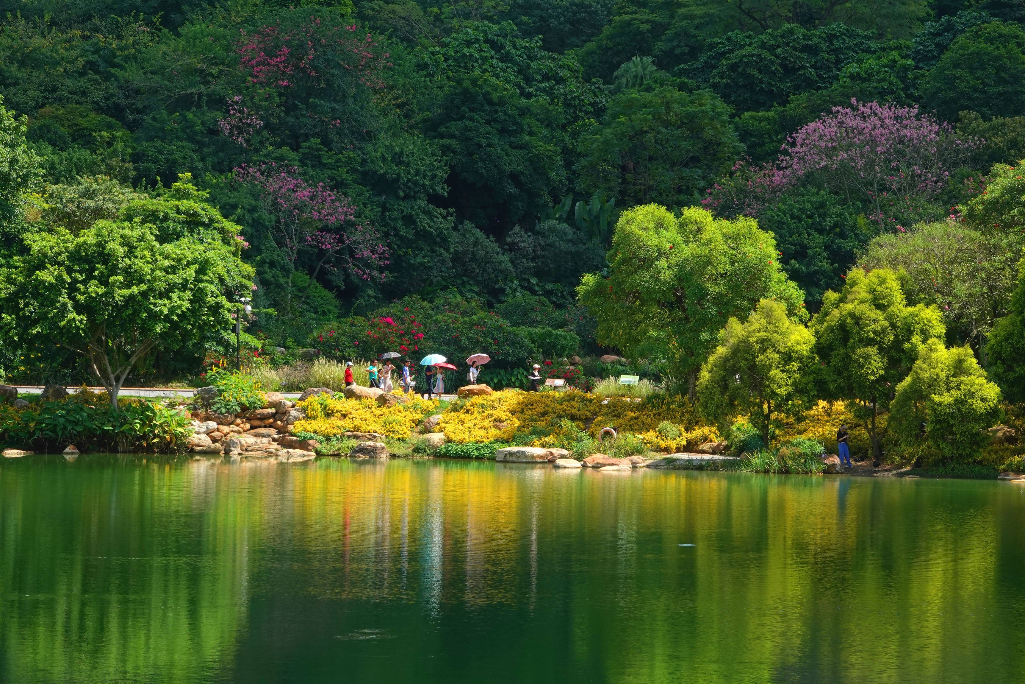 风景图片实拍真实图片