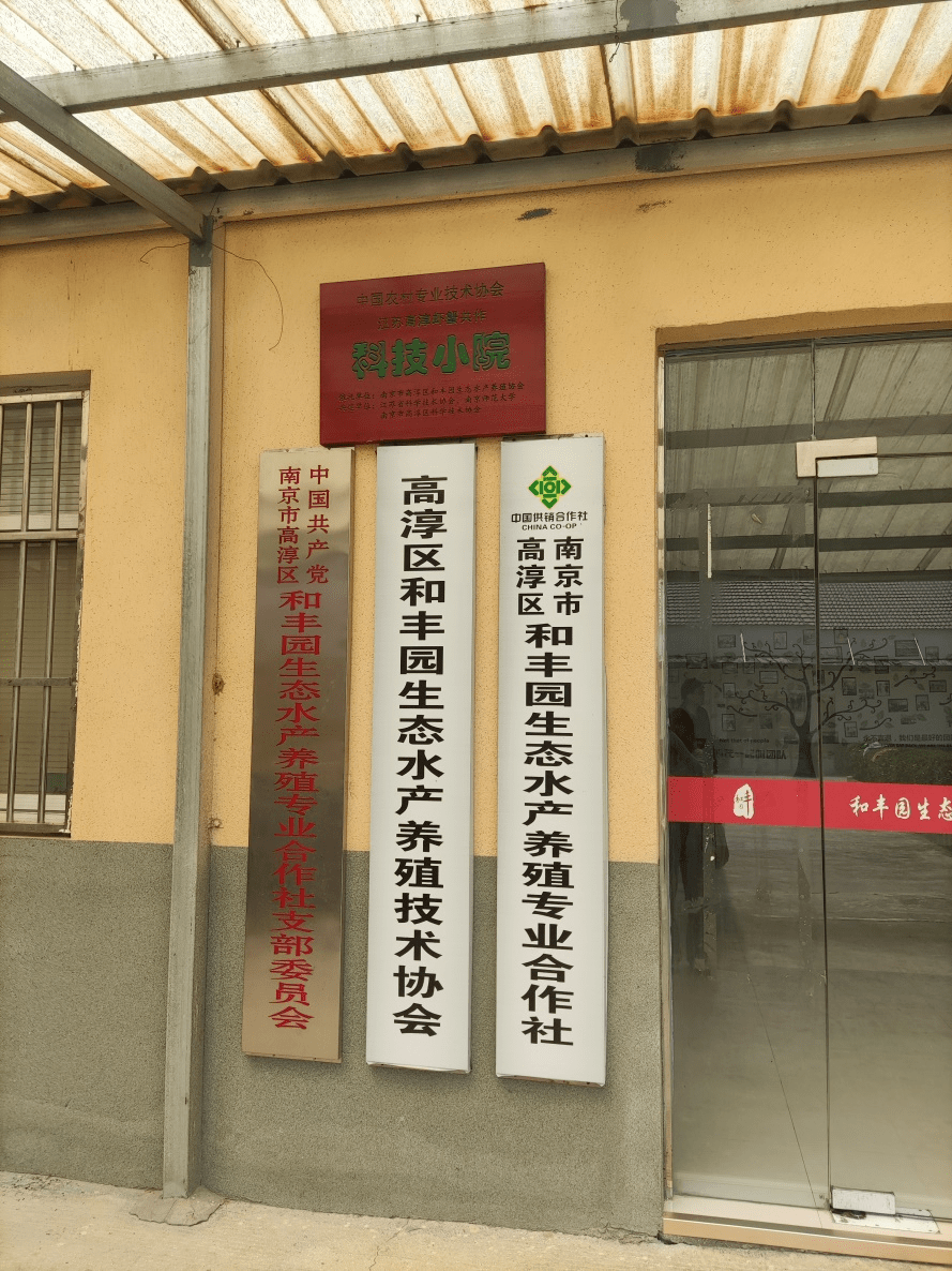 万亩池塘年利润超8000万!这家农业合作社正引领一场产业变革!