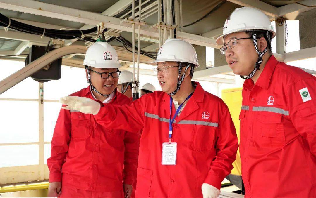 埕岛项目是中国石化部署并首次自主实施的海上obn高密度三维项目.