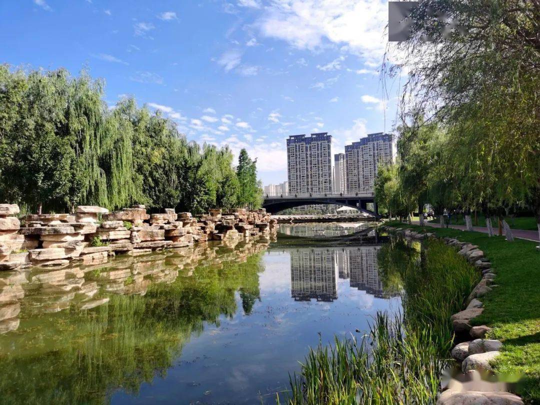 昭通中心城市乌蒙水乡公园莲花开了!_昭阳区_赵磊明_来源