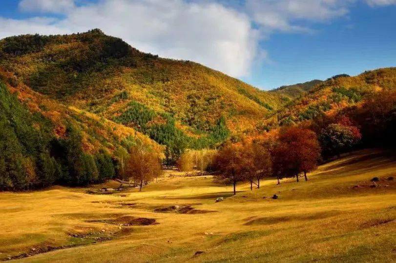 湯旺河林海奇石景區,烏帶公路,桃山懸羊峰景區,上甘嶺溪水國家森林