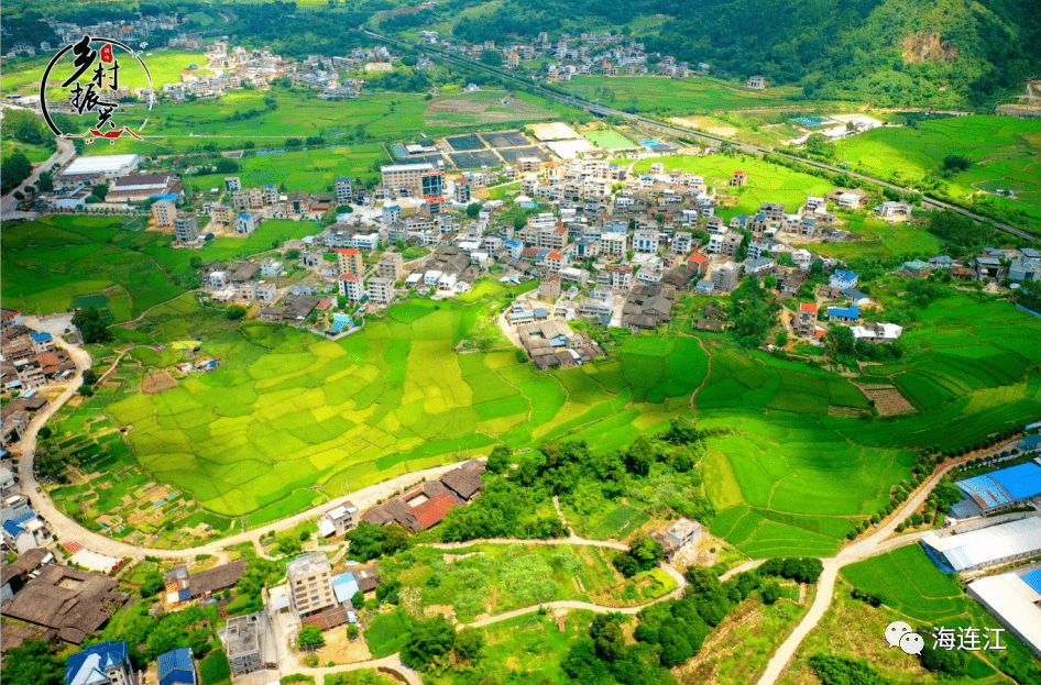 这个298户,1086人的乡村丹阳镇新洋村……从小山村化身避暑"网红村"