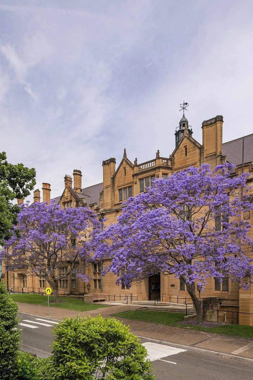 悉尼大学new south wales sydney04cbd的金融俊杰时常形色匆匆,绅士