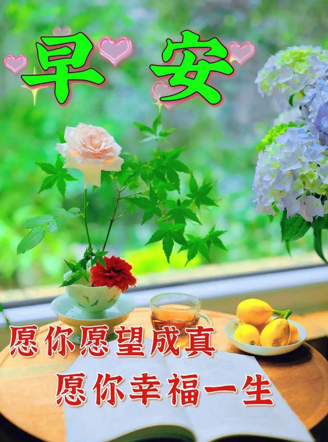 最新早上好漂亮图片祝福,新的一天,幸福美满_阳光_生活_心态
