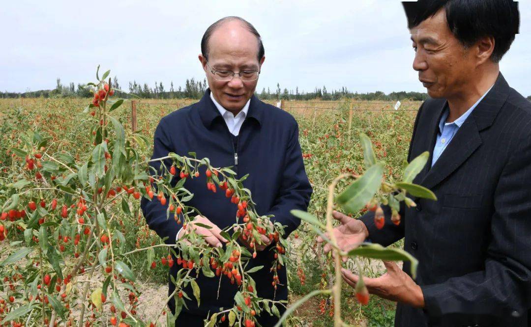 9月3日至4日,省委副书记,省长吴晓军前往海西蒙古族藏族自治州天峻