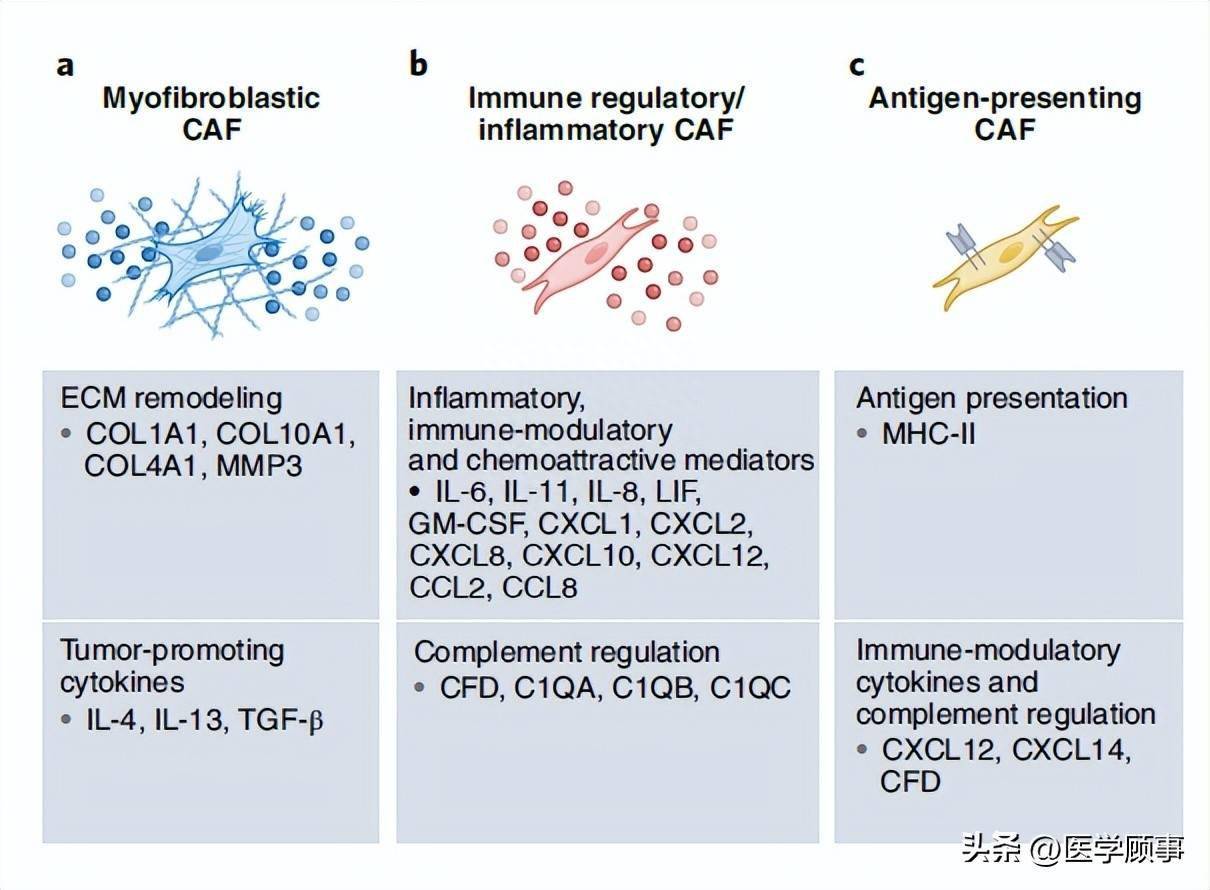Nature Cancer | 肿瘤相关成纤维细胞的单细胞分析_研究_scRNA-seq_功能
