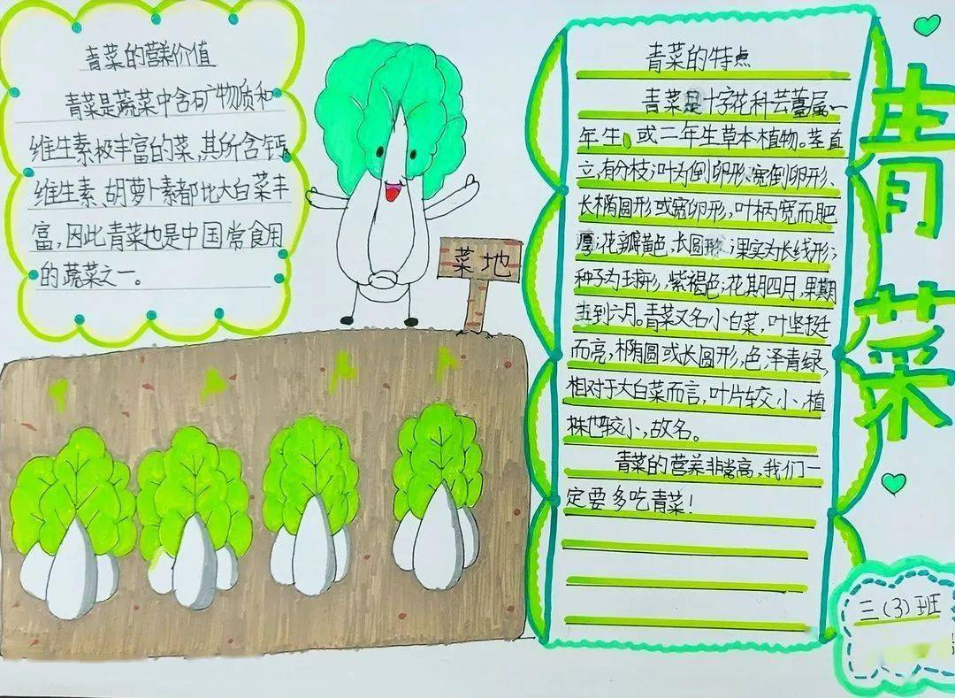 红领巾去探索||西安雁塔阳光小学暑期特色实践作业展示_科学_发展_大