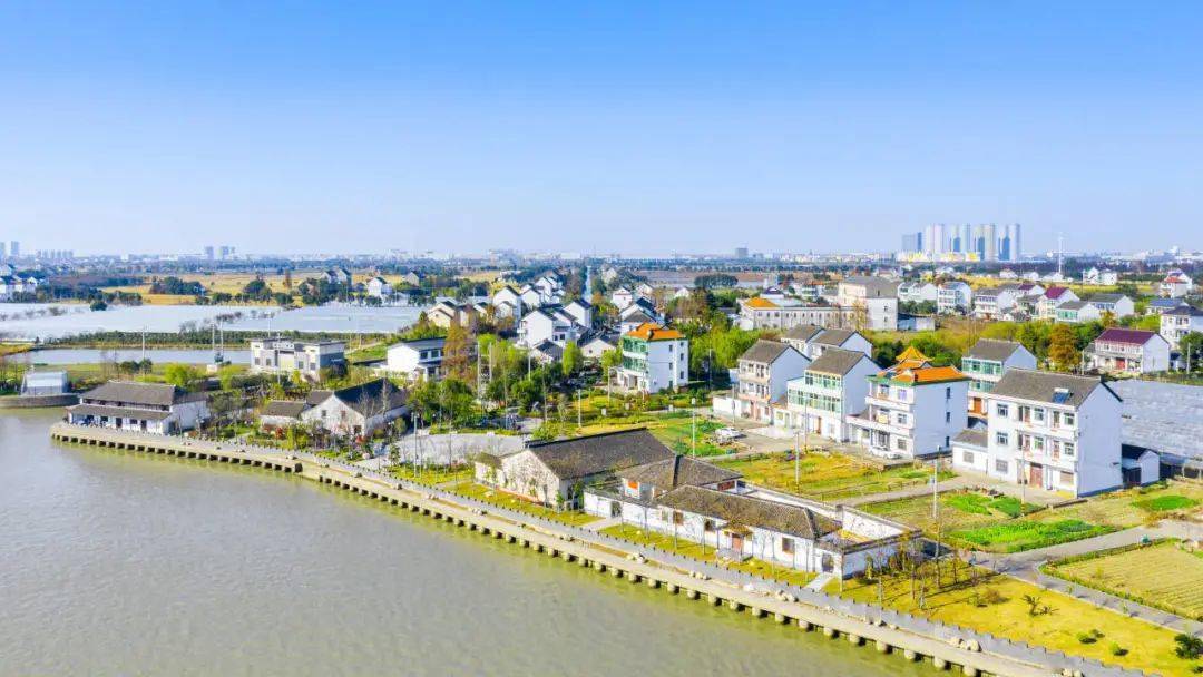 在上级政府规定日期内,今年,平湖市新埭镇泖河村在资产资源租赁款收缴