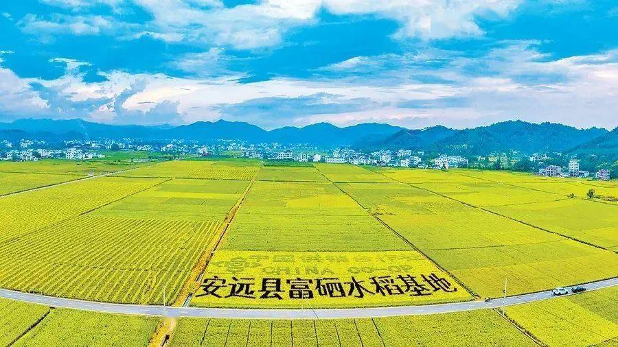 安远孔田镇入选第三批全国乡村治理示范镇!