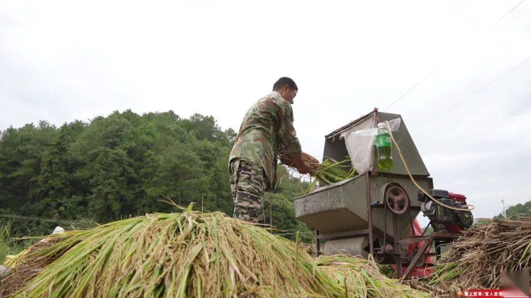 打好高质量"发展六仗" | 白石渡镇高龙桥村:"田长制" "田保姆" 助推