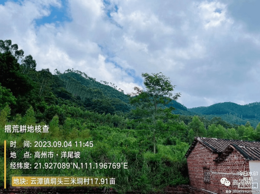 高州市开展撂荒耕地核查工作,两镇15亩以上疑似撂荒耕地_识别_茂名市