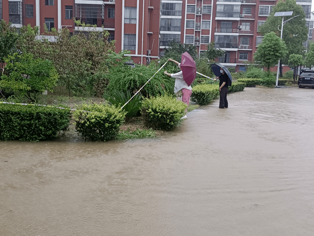 暴雨中的网格力量_居民_谢平_积水