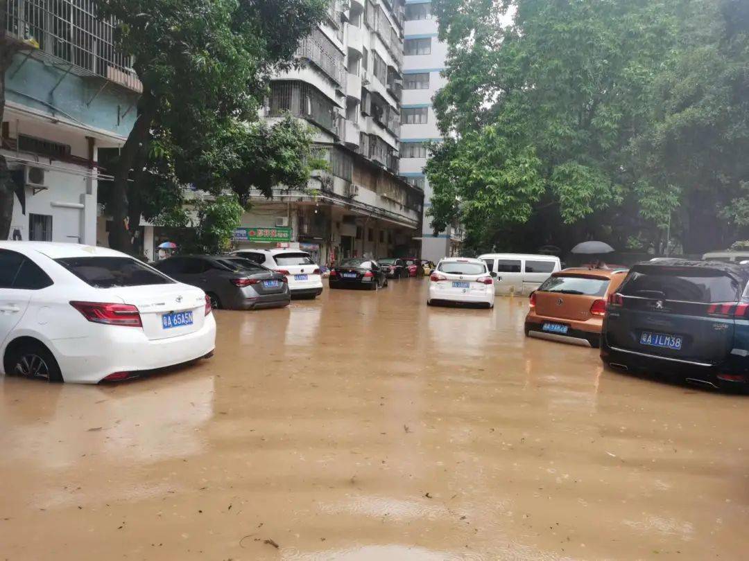 广东暴雨红色预警已增至61个_影响_广州_中小学校