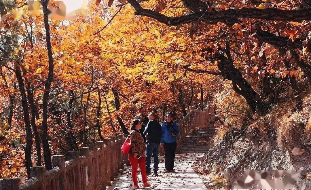 秋天想赏景,来铜川香山准没错!漫山红叶让人目眩神迷~_时刻_声音_山顶