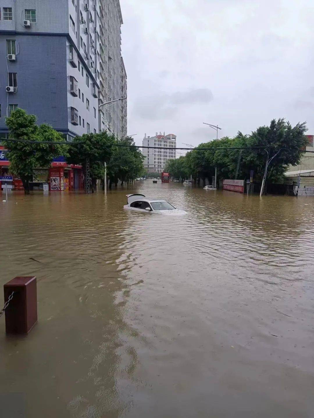 东莞15年来最强降水,高埗在内多镇街严重水浸!_暴雨_降雨_影响