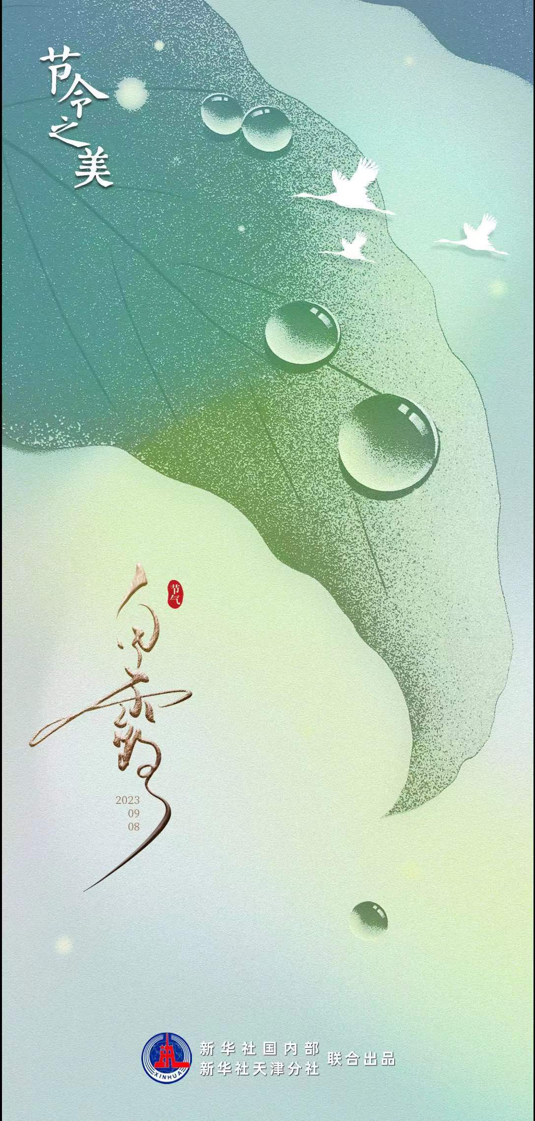 节令之美·白露|今日白露至，日后秋渐深_搜狐网