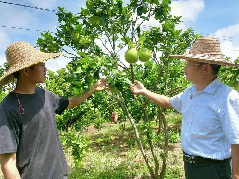 连平县大湖镇全面推广e推客 金融服务助力乡村振兴