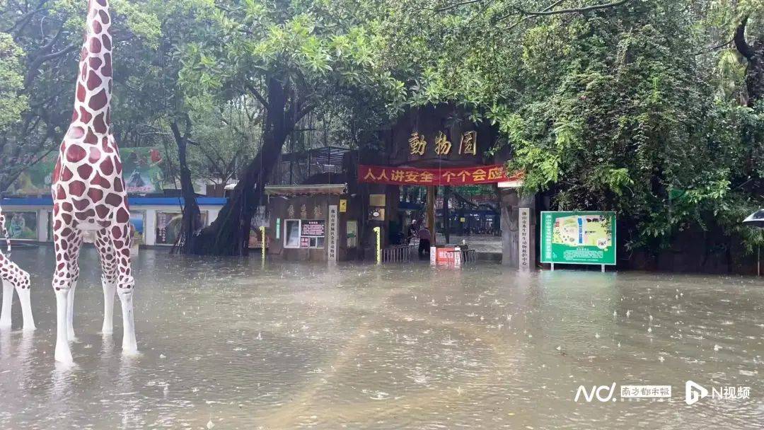 网传“动物趁大雨出逃”，广东一公园回应 