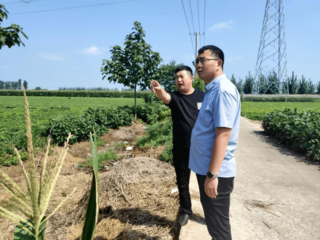 【攻坚在行动】通许县朱砂镇开展汛期畜禽养殖污染专项检查行动_工作_