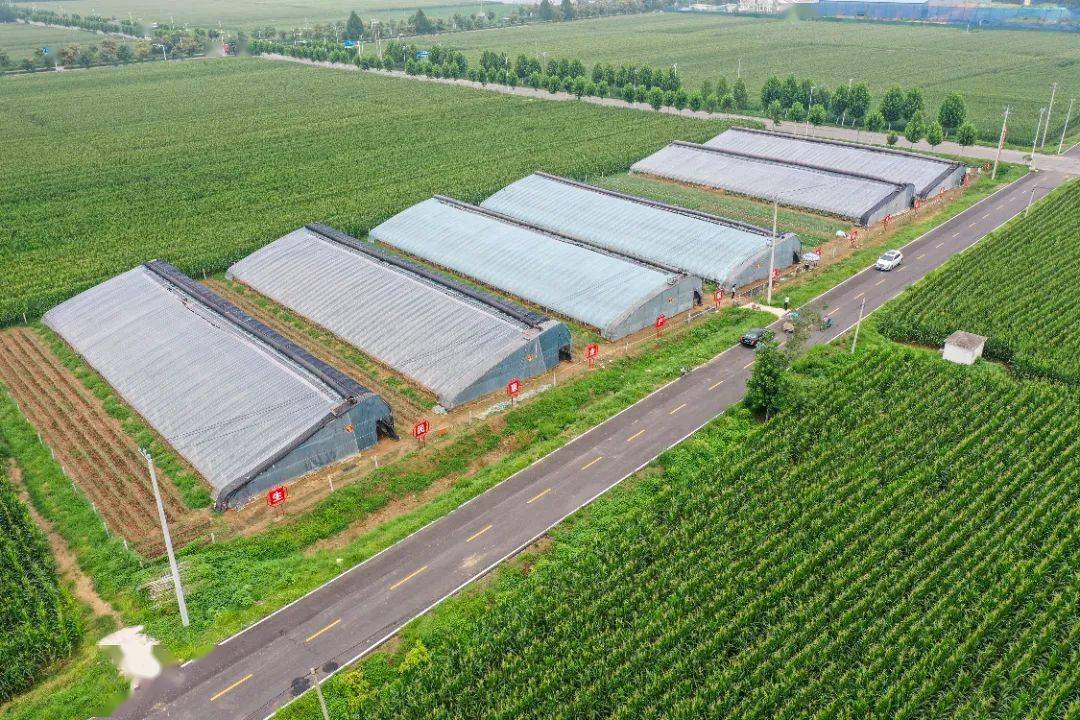 曲阜市乡村振兴示范片区创建现场观摩会在姚村镇成功召开